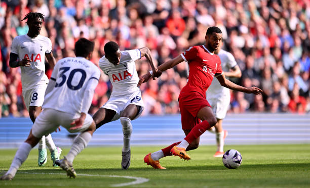 星的名字和 星的名字和