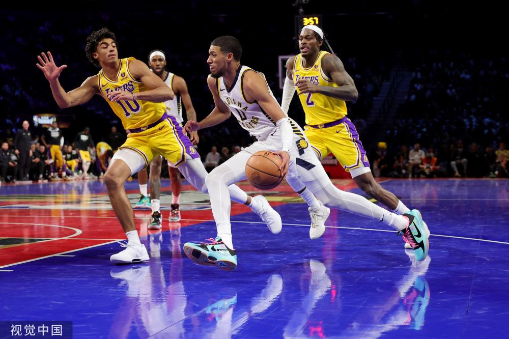 太阳队主帅 太阳队主帅